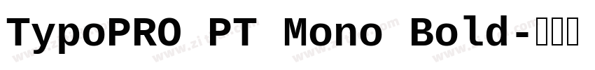 TypoPRO PT Mono Bold字体转换